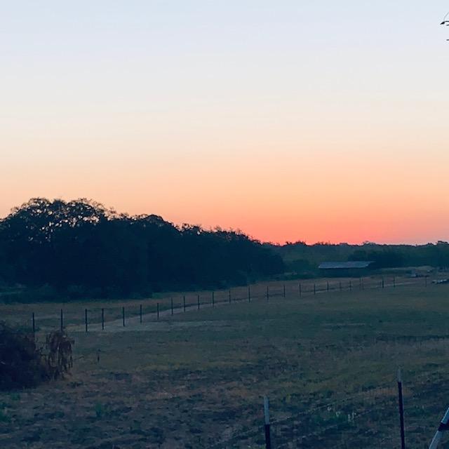 I love sunrise when I go out and unlock everything and for a few minutes, all is peaceful and I am by myself. Then the real world comes rushing in with employees, vendors, and customers...