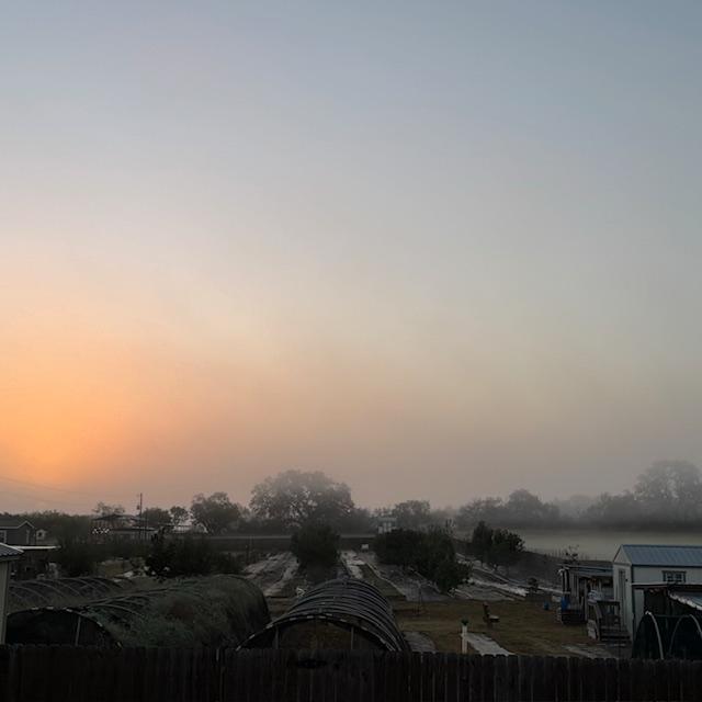 Sunrise over the farm today. The sun is sort of blocked by the fog.