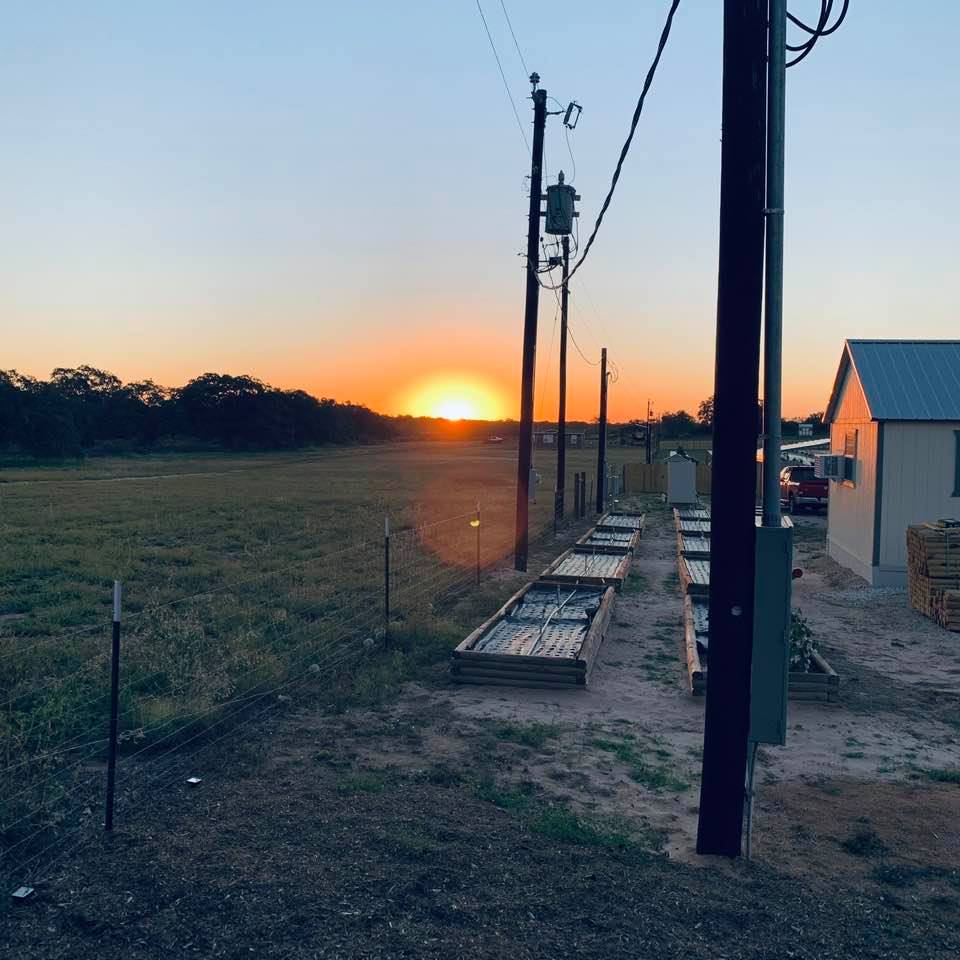 Sunrise today was taken from the gazebo. I hate the electric poles ruining the shot but #reallife
