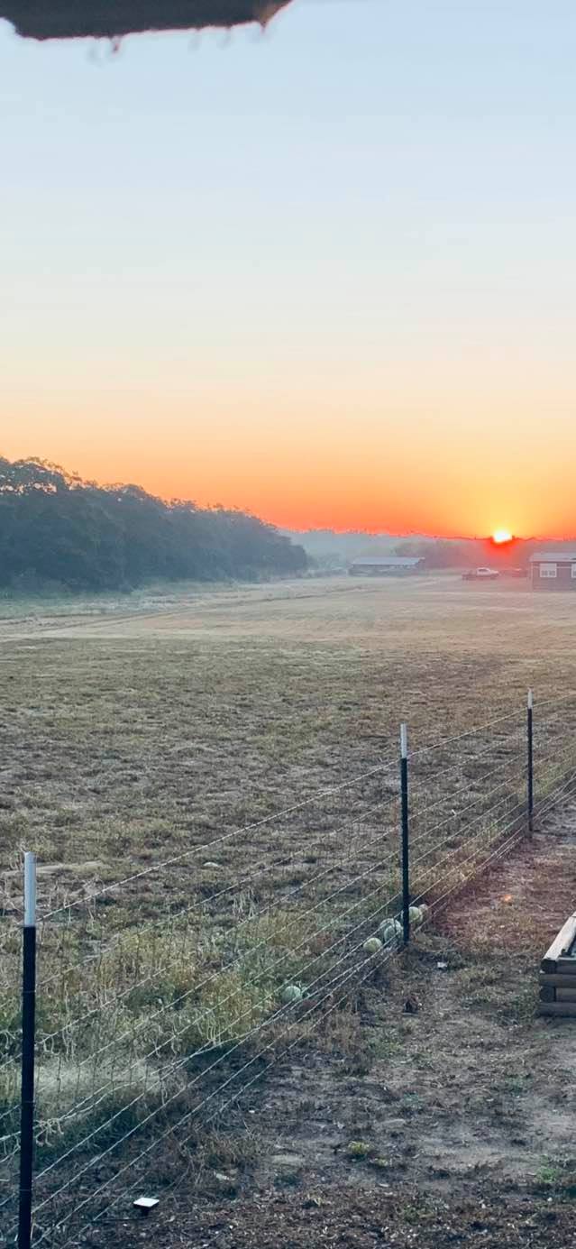 This morning's sunrise was shot in the gazebo.
