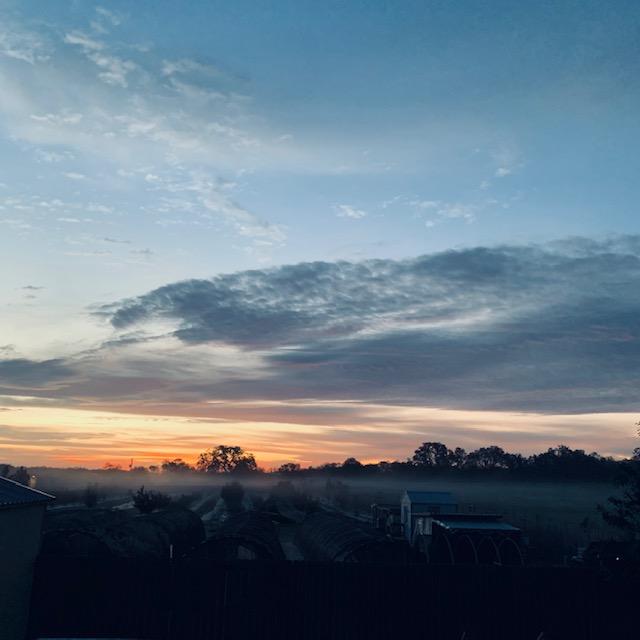 The band of fog is better seen this morning at sunrise.