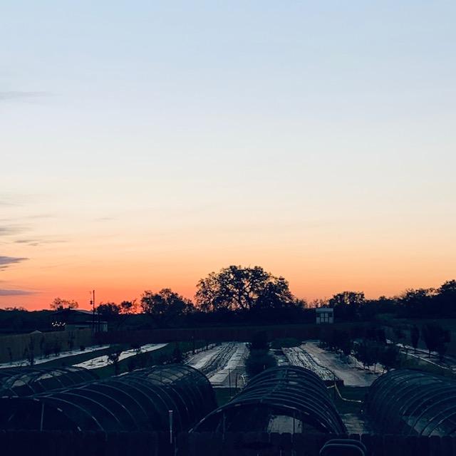 Here is the beautiful sunrise this morning when it was 36°.