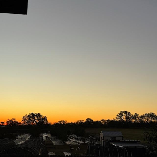 Fortunately, there is no frost yet. We still have veggies growing. It should be a little warmer over the next week.