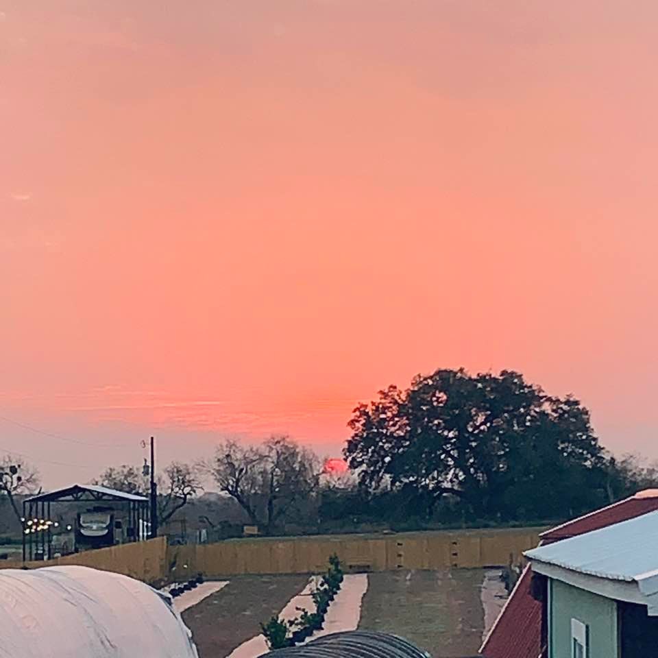 Here comes the bright pink sun! Good morning and many happy new year wishes for everyone!