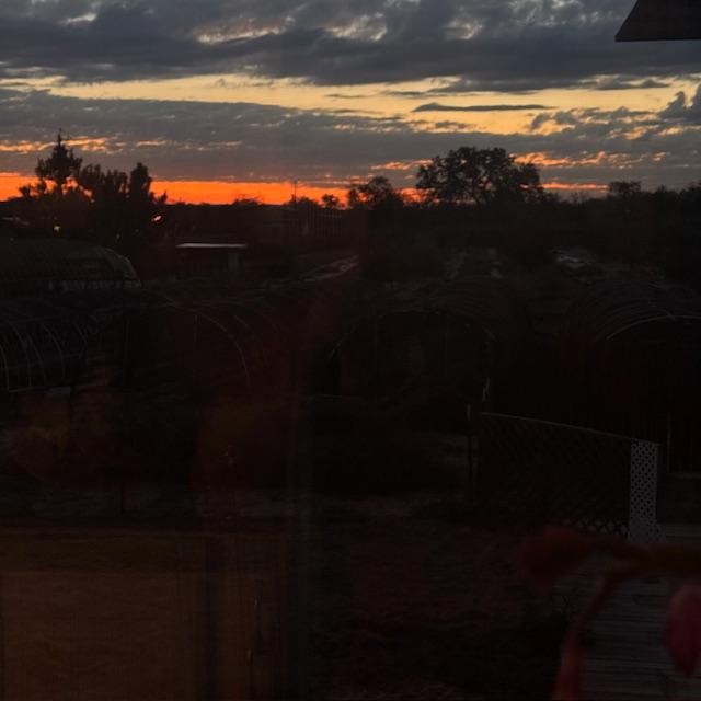 The sun is starting to come up...