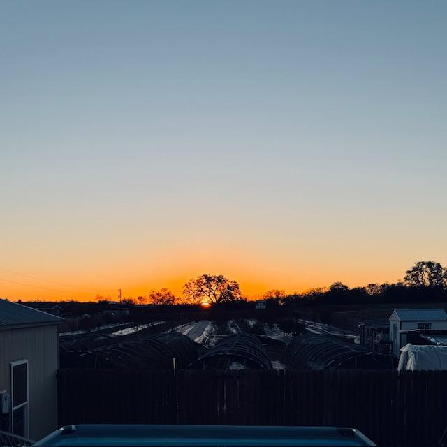 It was a beautiful sunrise this morning.