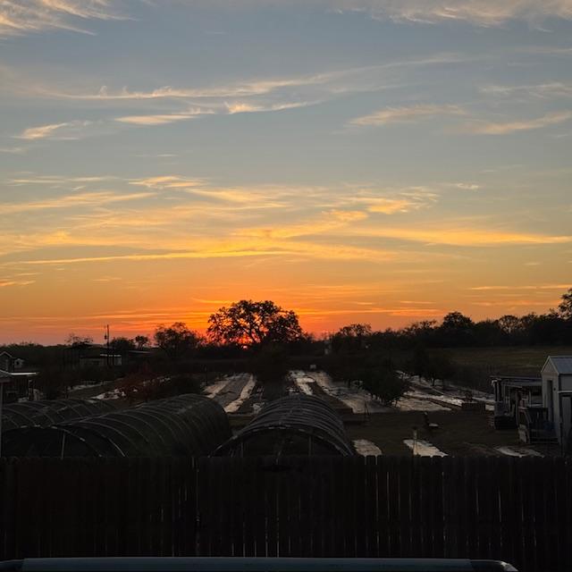 Isn't this sunrise over the farm this morning just glorious? I love it when there is pink in a sunrise! It's 47°!