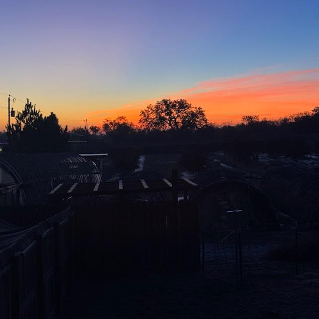 sunrise121025 sunrise121025