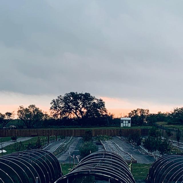 Sunrise over the back 40 of David's Garden Seeds®.