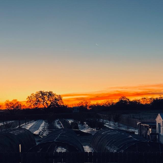 I captured a beautiful sunrise this morning before driving into Pleasanton.