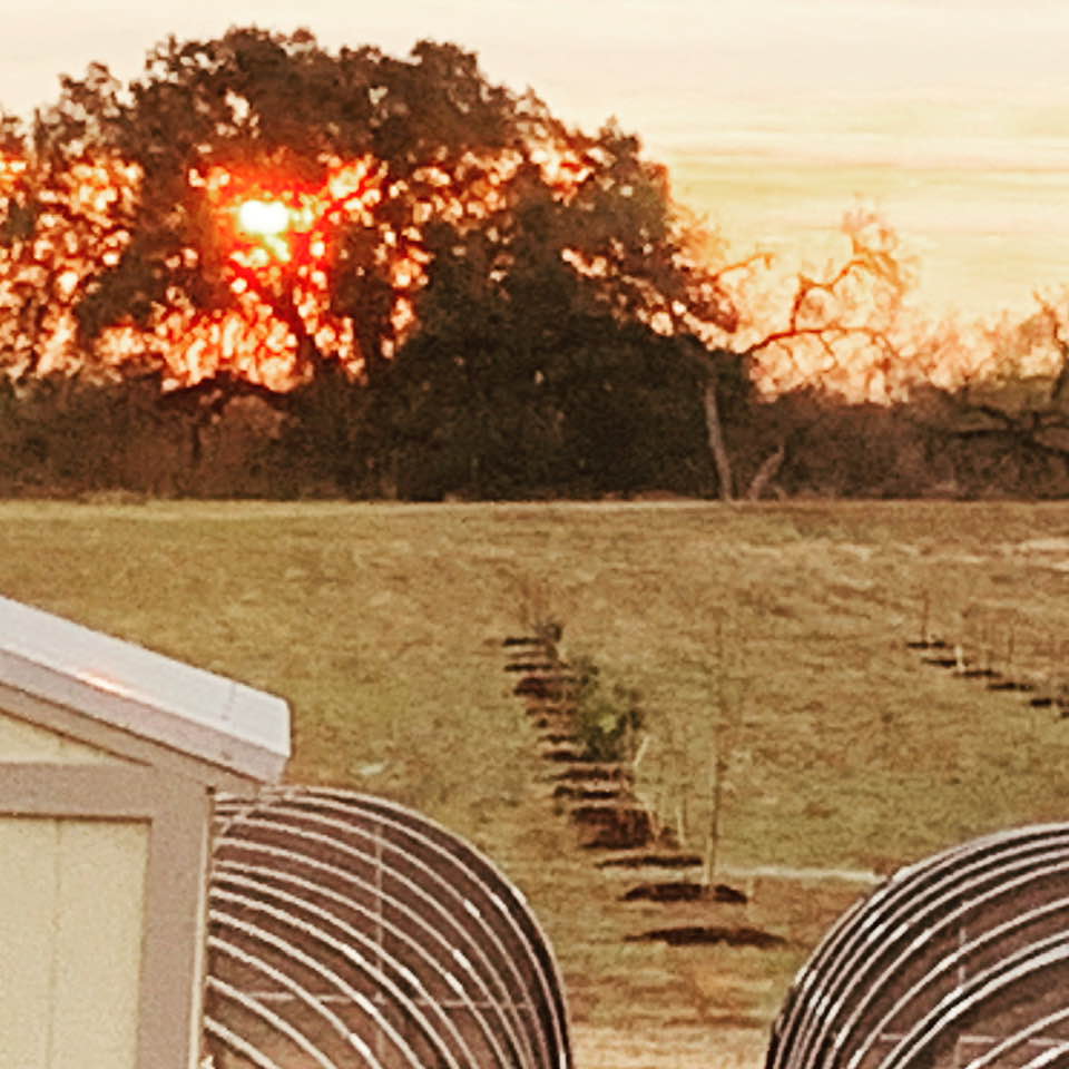 Sun is up bright and early