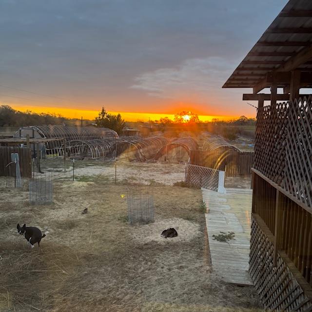 The sun came up this morning, so colorful and pretty.