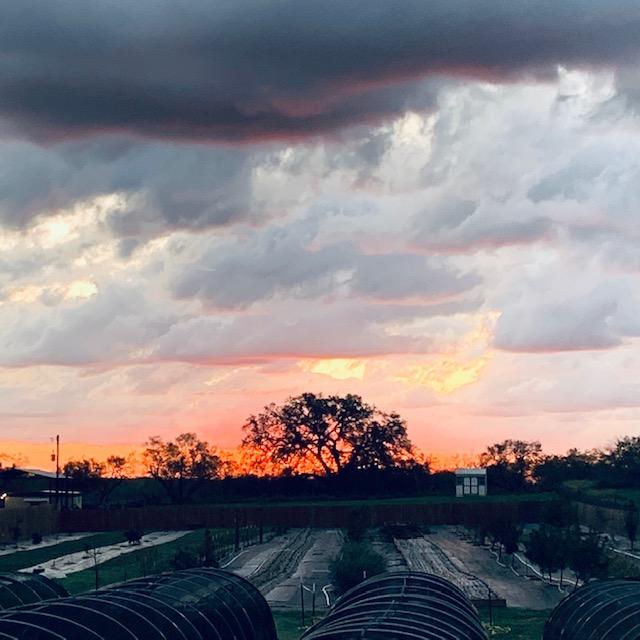 Look at our beautiful sunrise this morning! I have not seen it look like fire before.