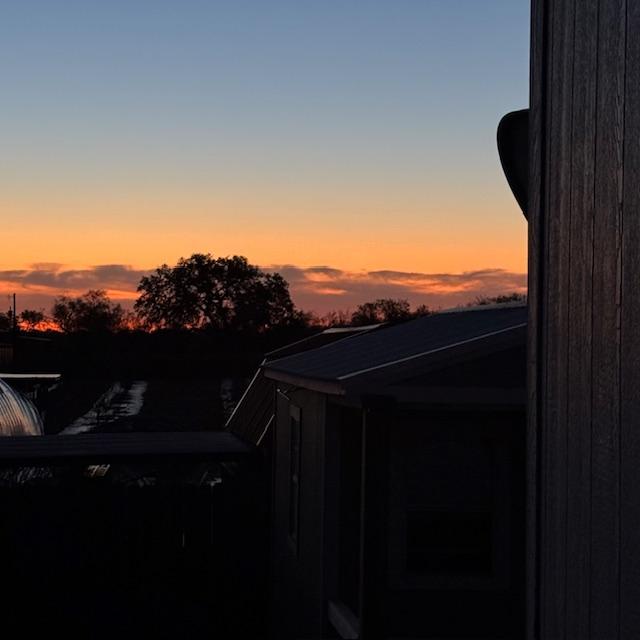 I took this photo when I let the dogs back in this morning.