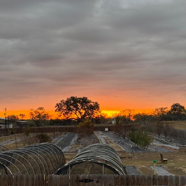 The sunrise was gorgeous this morning!