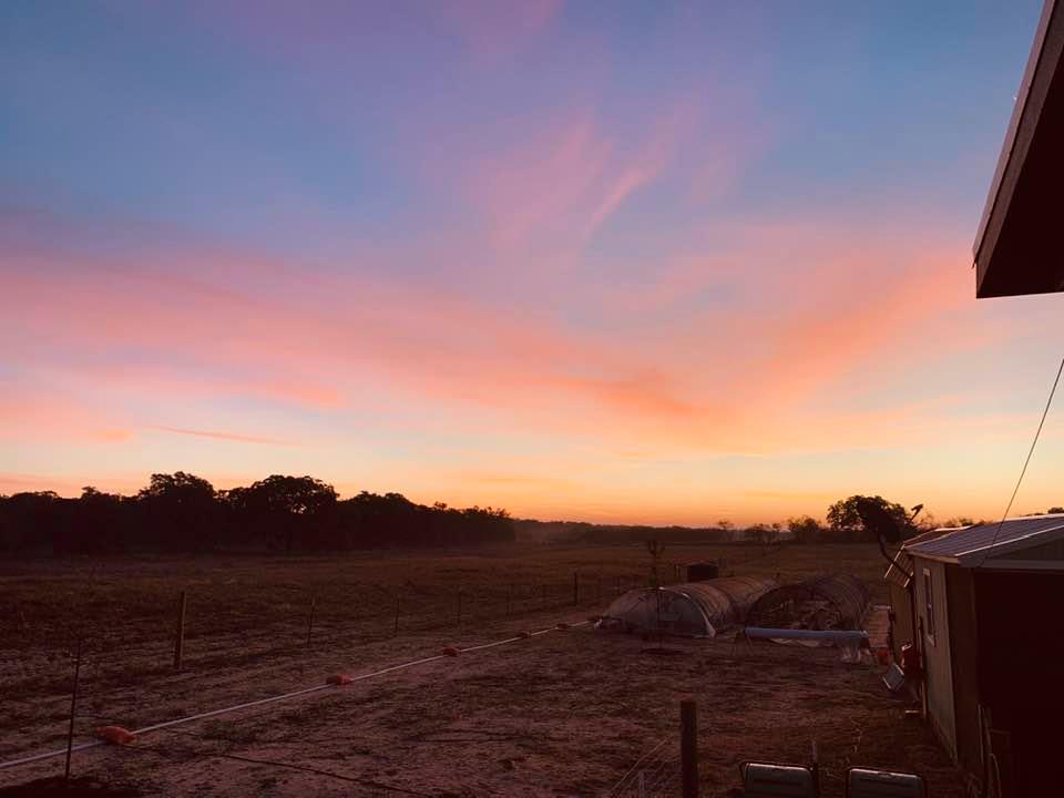 The sun came up as a big red ball behind the huge oak tree at the top of the hill just minutes after I took this shot this morning.