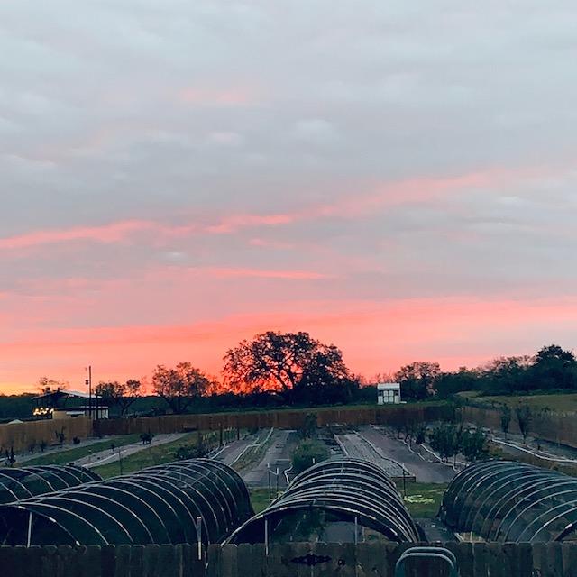 God gave us the most gorgeous pink sunrise this morning in the freezing cold.