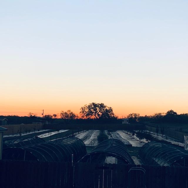 The sun greets the cold earth this morning.