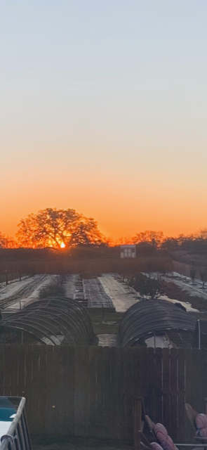 Here is today's beautiful sunrise!