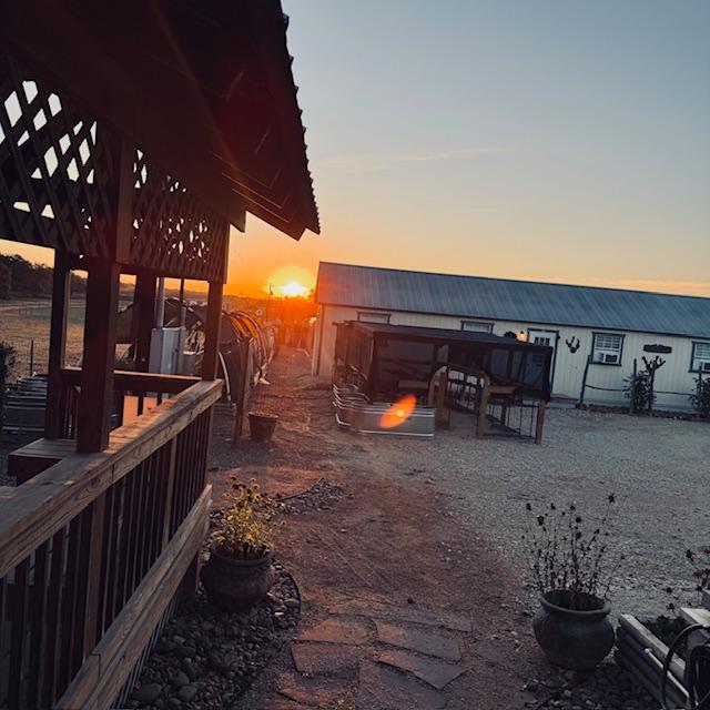 I snapped this while feeding the fish this morning.