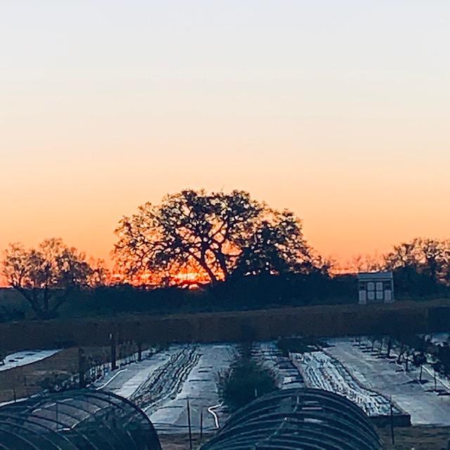 The final sunrise of 2022. I was preparing food when the sun set so I forgot to get a final sunset photo...