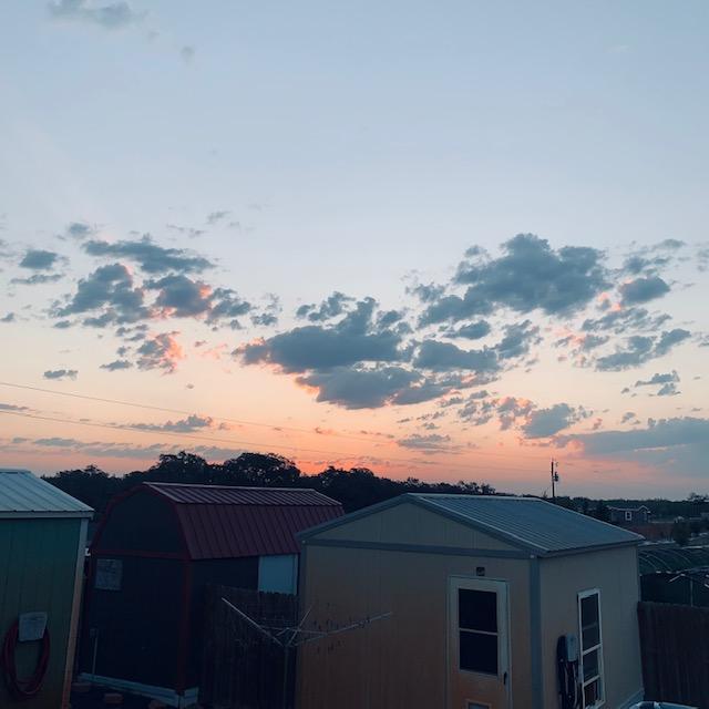 Here comes the sun! I love the early morning pink.