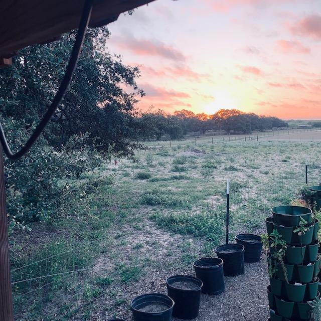 A beautiful sunrise taken from the gazebo. Isn't it gorgeous?