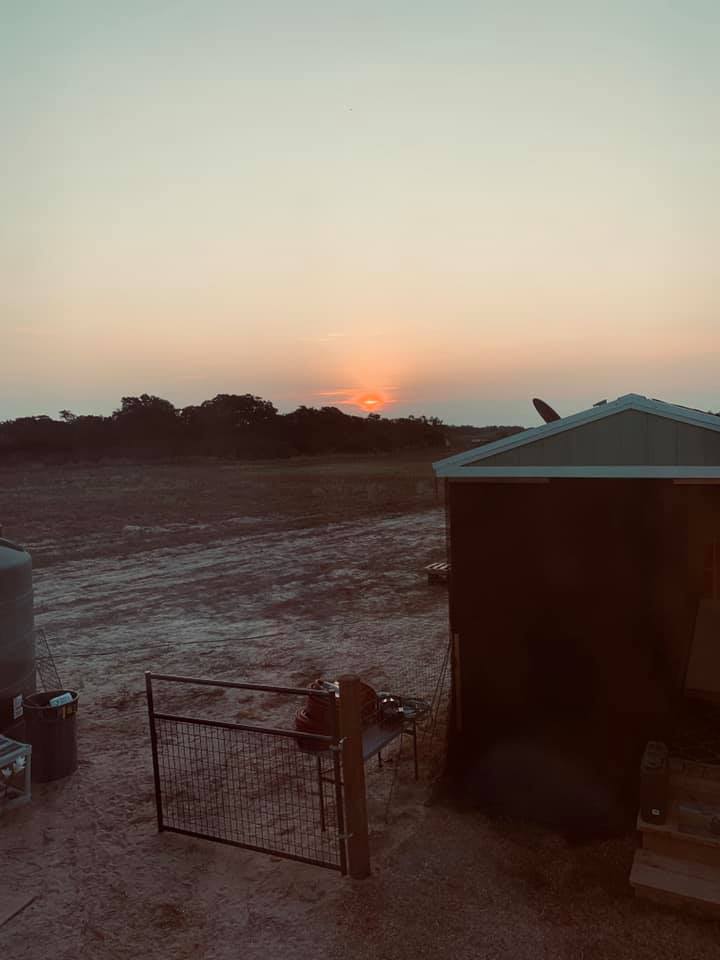 Good morning sunrise from the farm today.