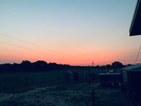 Another colorful sky out on the farm. Garden seeds near me can be found out on a farm in Poteet, our farm. Another colorful sky out on the farm. Garden seeds near me can be found out on a farm in Poteet, our farm.