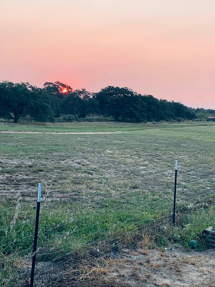 This shot of the sunrise was taken from our gazebo as I fed the fish. A hot pink ball is coming up through the trees. All the while, garden seeds near me are waiting to be planted. This shot of the sunrise was taken from our gazebo as I fed the fish. A hot pink ball is coming up through the trees. All the while, garden seeds near me are waiting to be planted.