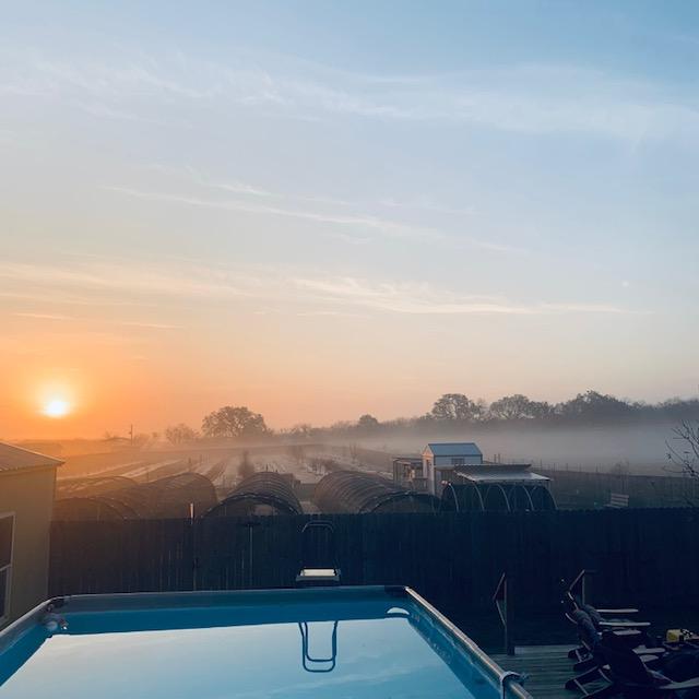 There is fog early this morning but the sun is shining right through it.