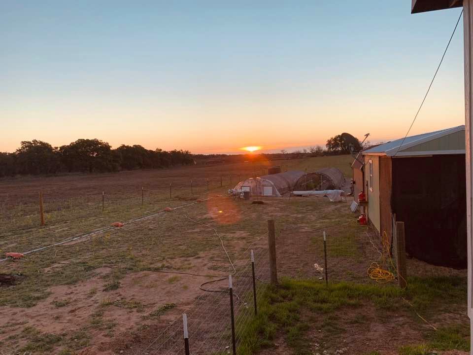 Sunrise was gorgeous this morning, especially because we have not seen a sunrise in many days.