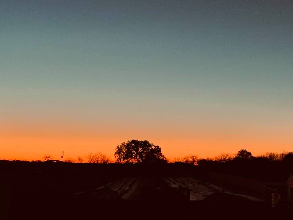 Sunrise over the back field where the orchard is. We have rows of weed barrier where we plant corn, squash, and other crops in between the rows of trees.