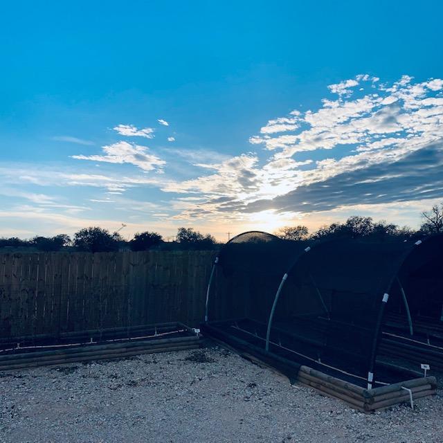 The sun is going down soon.