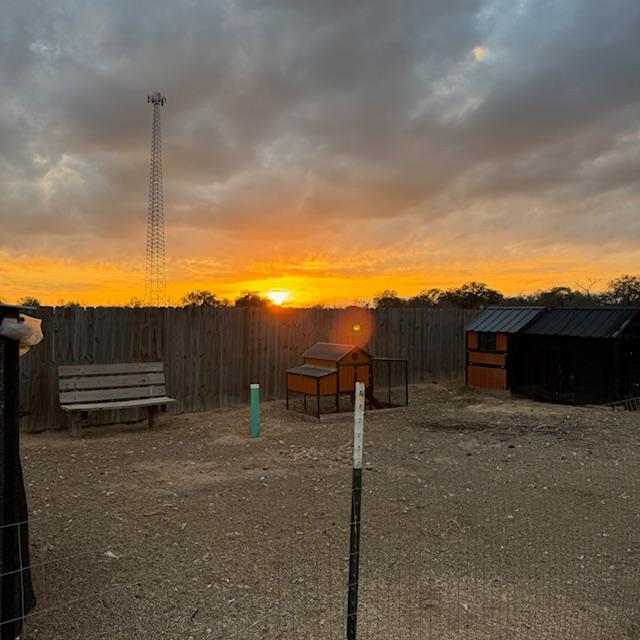 Such a pretty sunset.