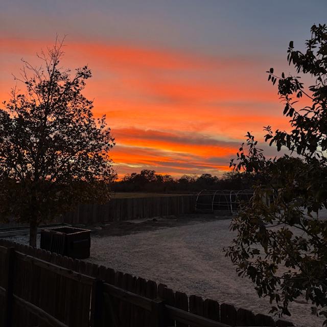 sybset010426a sybset010426a