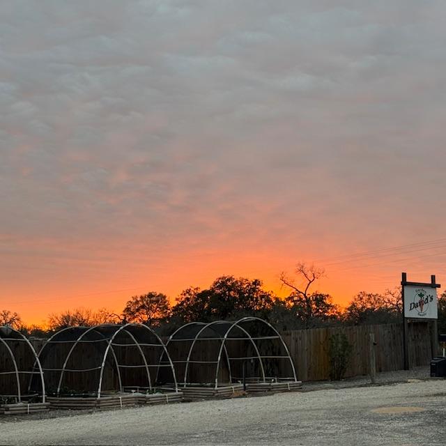 I went out into the cold to get this sunset photo tonight. The colors are pretty.