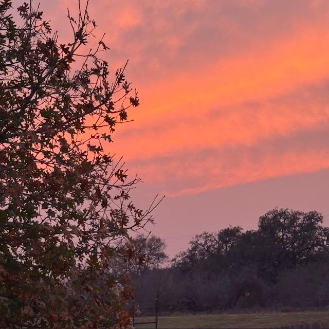 This evening's sunset is pink.
