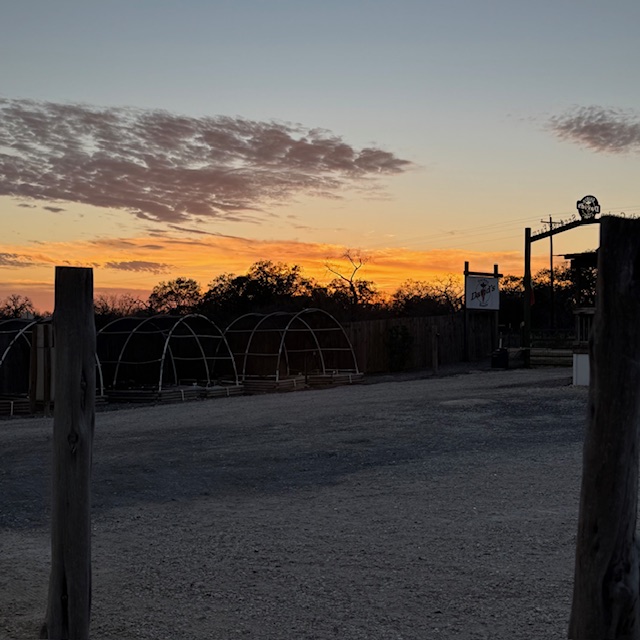 I was in Fulfillment as the sun was going down so I stepped outside and snapped this, then I went back inside and closed orders until 6:30pm. I was in Fulfillment as the sun was going down so I stepped outside and snapped this, then I went back inside and closed orders until 6:30pm.