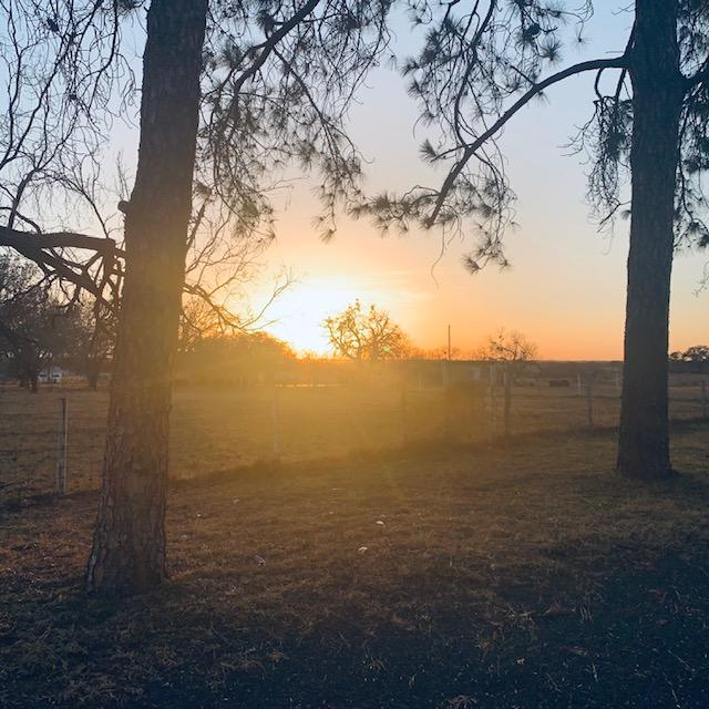 This sunset was taken about a mile away from our farm in the church parking lot this evening. Isn't it fun to see different views? This sunset was taken about a mile away from our farm in the church parking lot this evening. Isn't it fun to see different views?