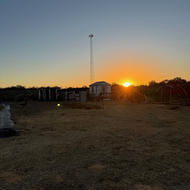 I snapped this pretty sunset as I was leaving the goat pen. Still no baby. The rabbits are fine. The chickens are laying a lot more eggs now. Somedays we got 1 or 2 brown eggs. I snapped this pretty sunset as I was leaving the goat pen. Still no baby. The rabbits are fine. The chickens are laying a lot more eggs now. Somedays we got 1 or 2 brown eggs.