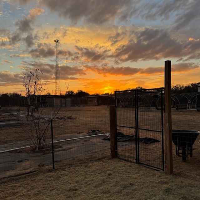 I took this photo while I was in the goat pen. Isn't it gorgeous?