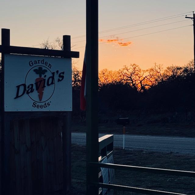 The sun is going down and the David's Garden Seeds® gate and sign look so cool.
