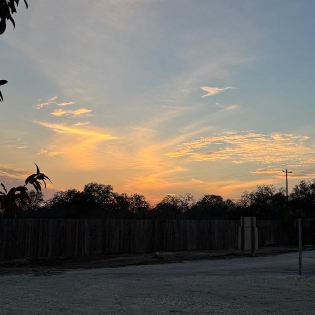 The sun was going down as David & I went out to the small greenhouse in front. I needed some new trays & he was closing it up for the night.