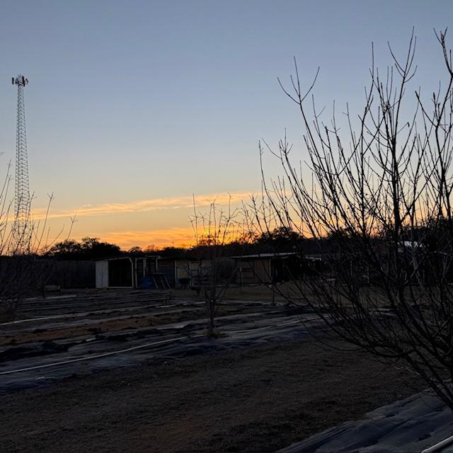 I took this while in the goat pen again. Almost missed it completely...