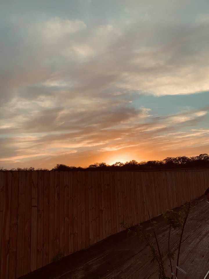 Sunset this evening was beautiful. I was in the orchard when I took this shot.