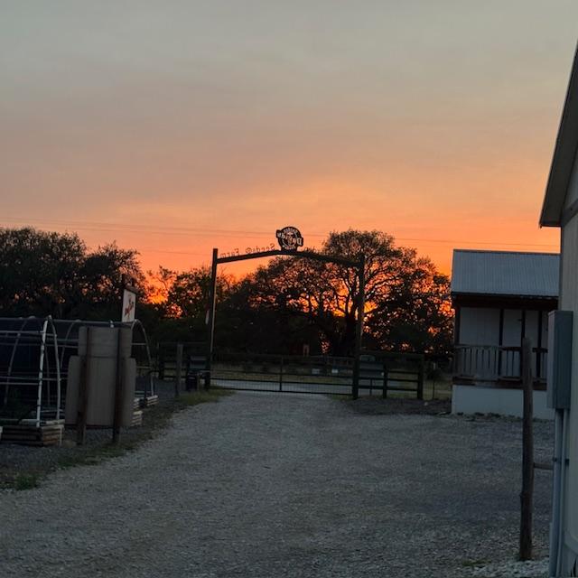 I missed the best of it but it is still pretty!