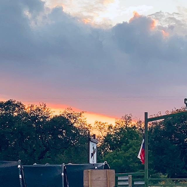 What a gorgeous sunset God gave us this evening. I was outside putting my chicks to bed and I looked up. Just beautiful!