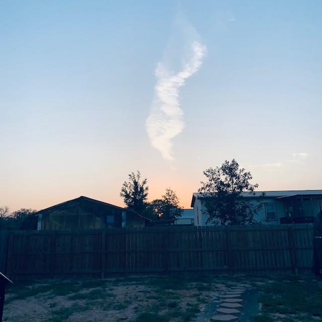 I took this sunset photo right before I found my peanuts missing. Just to the right of where I am standing is the hoop house where my peanuts once were.