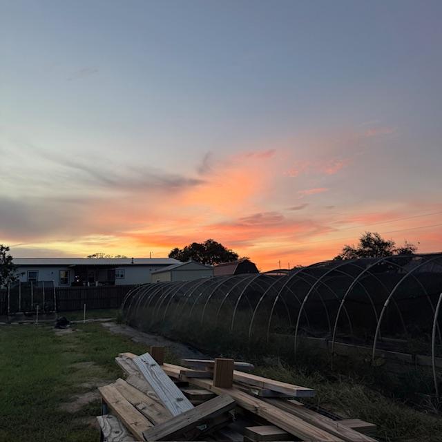 Sunset from the back after putting away the goats and chickens.